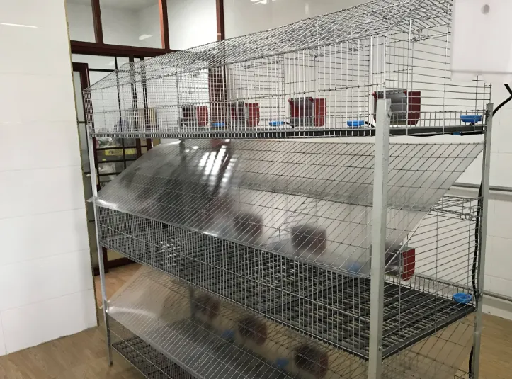 Fábrica suministro barato jaula para conejos granja 9 células 12 células 24 células - Jaula de conejo - foodmachtech