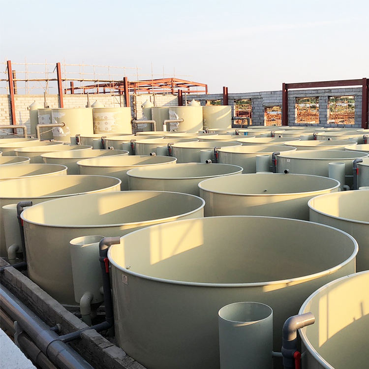 ระบบการเพาะเลี้ยงสัตว์น้ำในร่มหมุนเวียนปลาแซลมอนการตั้งค่าฟาร์มปลาปลาการติดตั้งเครื่องฟาร์มปลาทั้งหมด