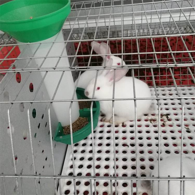 กรงกระต่ายเชิงพาณิชย์สำหรับขายกรงกระต่ายเชื่อมชุบสังกะสีราคาถูก