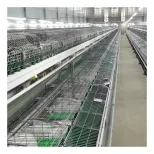 Jaula de cría de conejos comercial con sistema de recogida de estiercol - Jaula de conejo - foodmachtech