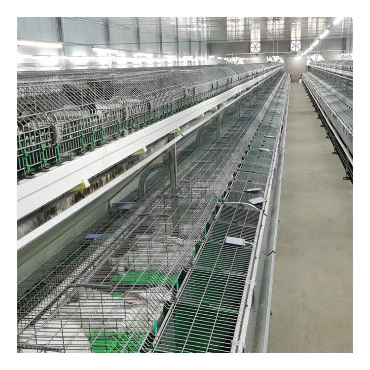 Jaula de cría de conejos comercial con sistema de recogida de estiercol - Jaula de conejo - foodmachtech