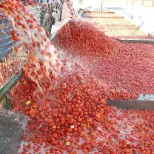 100tpd-1500tpd Tomato Puree Ketchup Sauce Paste Concentrate Making Packaging Processing Machines Production Line - Tomato Paste Production Line - foodmachtech