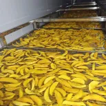 Essiccatore di frutta secca al mango, Essiccazione di frutta disidratata, Linea di produzione di frutta e verdura - Linea di produzione croccante di frutta e verdura - foodmachtech