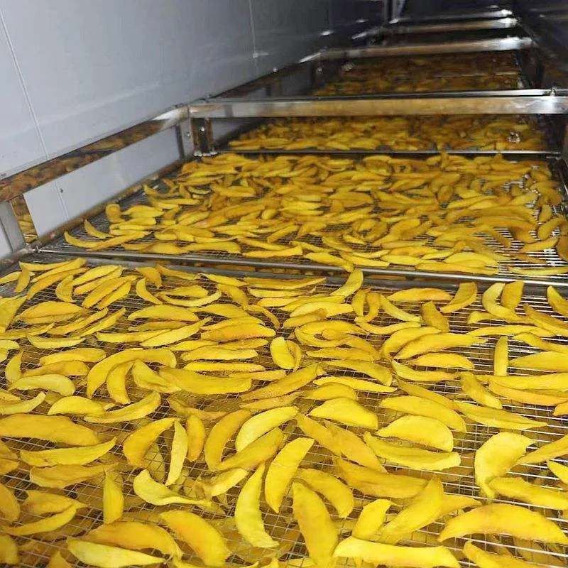 Essiccatore di frutta secca al mango, Essiccazione di frutta disidratata, Linea di produzione di frutta e verdura - Linea di produzione croccante di frutta e verdura - foodmachtech