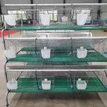 Jaula de cría de conejos comercial con sistema de recogida de estiercol - Jaula de conejo - foodmachtech