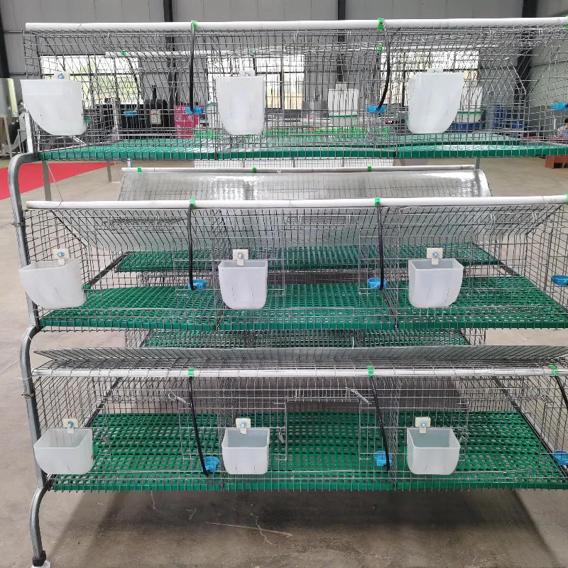 Jaula de cría de conejos comercial con sistema de recogida de estiercol - Jaula de conejo - foodmachtech