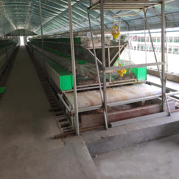 กรงกระต่ายสองชั้น