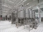 Línea de producción de procesamiento de leche de coco - Línea de producción de leche vegetal - foodmachtech