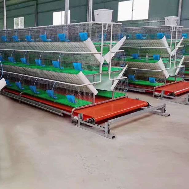 กรงกระต่ายสองชั้นแบบแนวตั้งและแบบ A