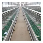Jaula de cría de conejos comercial con sistema de recogida de estiercol - Jaula de conejo - foodmachtech