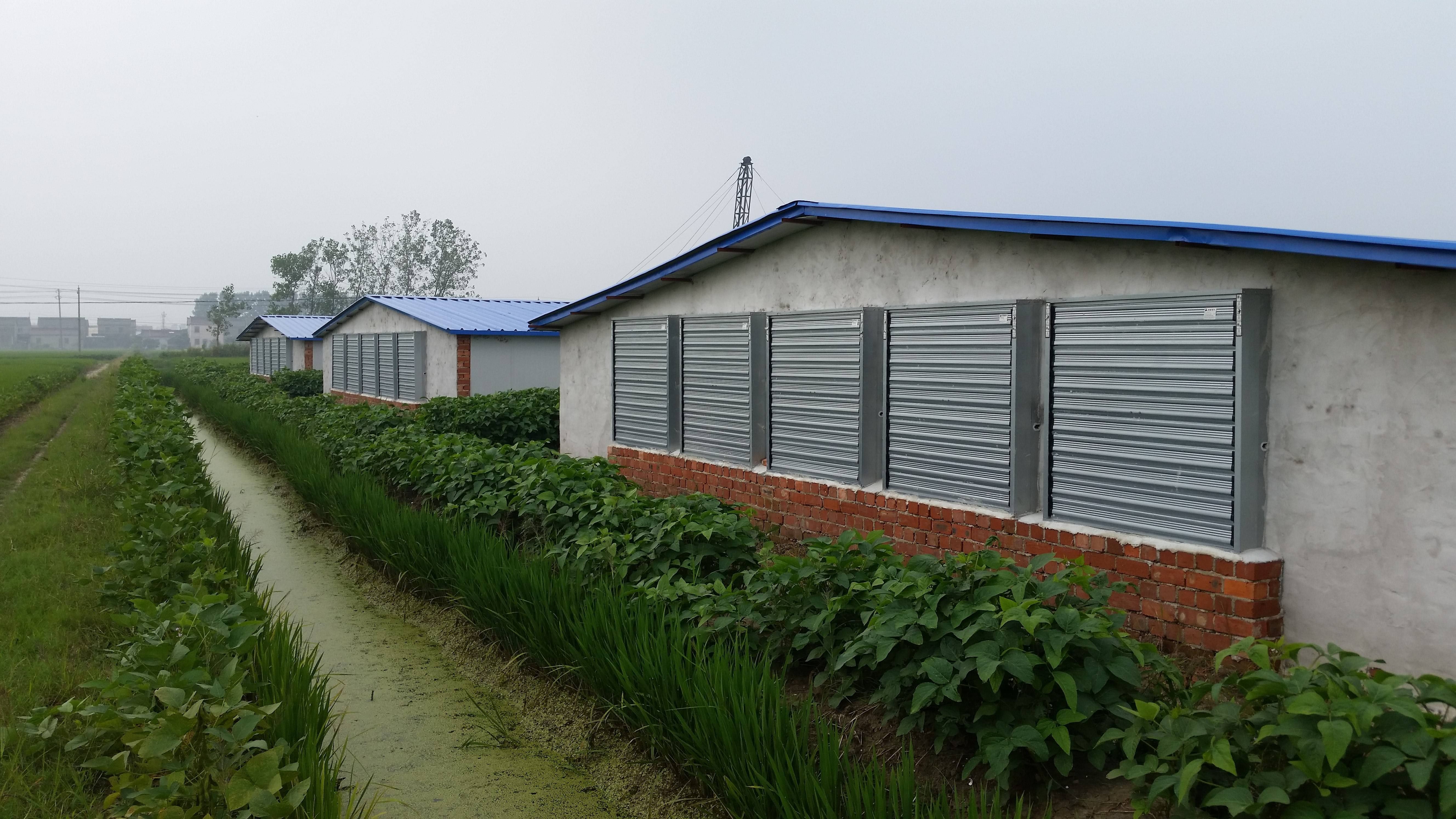 Extractor de ventilación industrial abierto automático de la CA de 1000m para la granja avícola