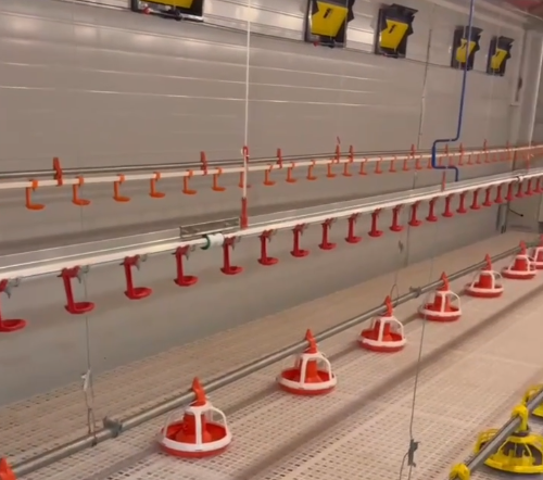 Nuova condizione di sollevamento piatto del broiler con motore centrale e componenti della pompa sistema di sollevamento piatto del broiler