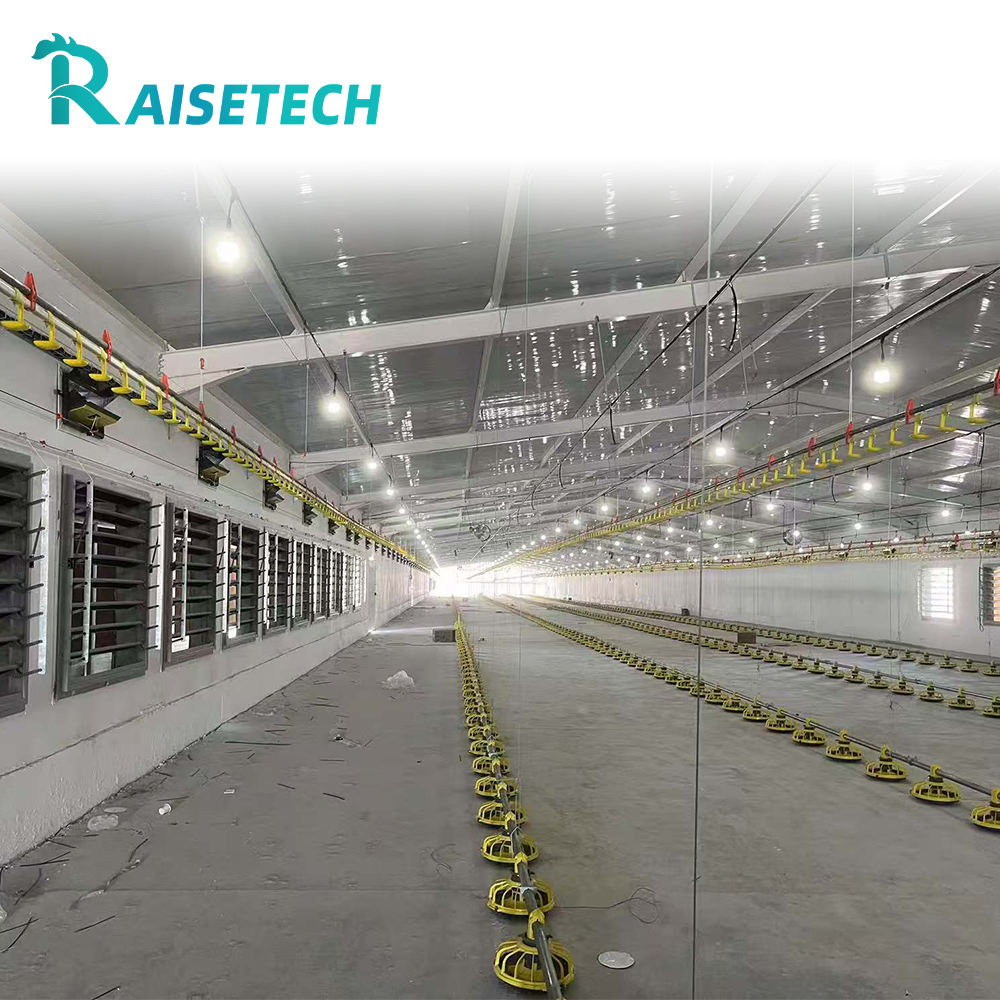 Impianto di sollevamento automatico durevole del pavimento dell'azienda agricola del pollo attrezzatura di alimentazione del pollame con il centro di plastica della pompa del motore