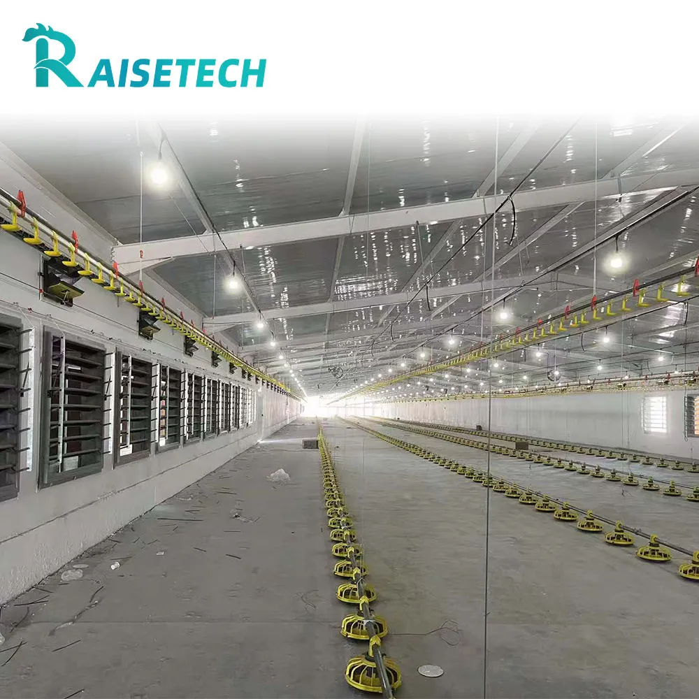 Equipo de alimentación de aves de corral con bomba de motor Piezas de núcleo de plástico Sistema de elevación de piso de pollo automático duradero - Sistema de alimentación de pollos de engorde - foodmachtech
