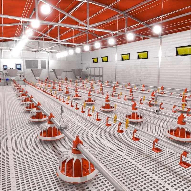 Equipo de alimentación de aves de corral con bomba de motor Piezas de núcleo de plástico Sistema de elevación de piso de pollo automático duradero - Sistema de alimentación de pollos de engorde - foodmachtech
