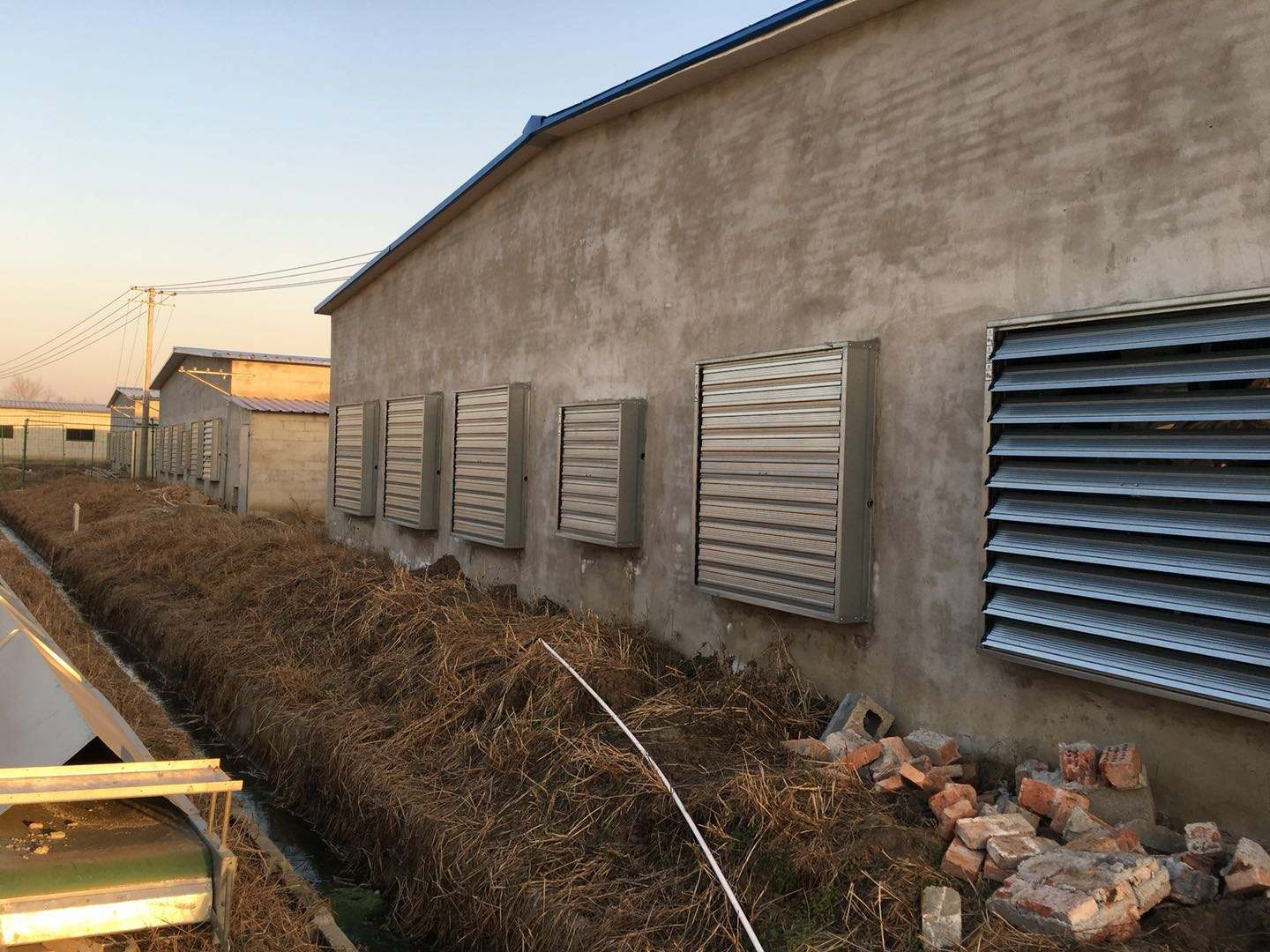 29 Inch 800mm Equipo de ventilación de la granja de pollo Ventilador de escape industrial