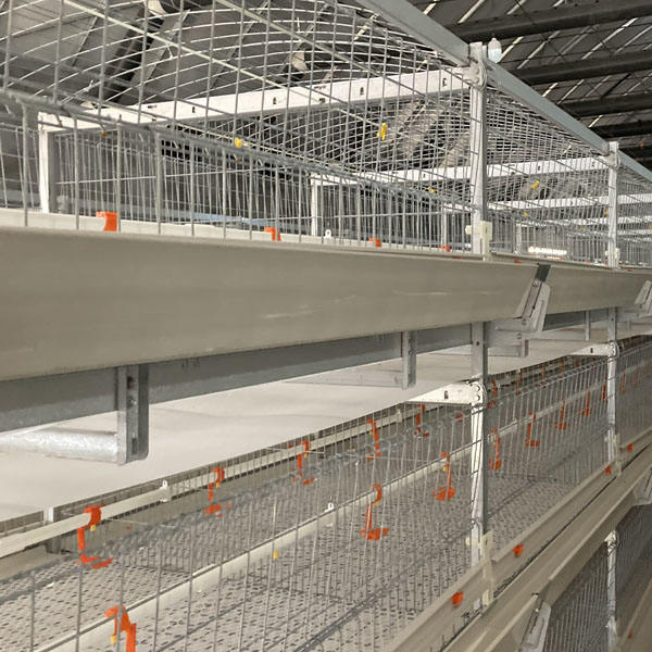 Jaula automática de la parrilla del nuevo precio de fábrica de alta calidad del nivel 3