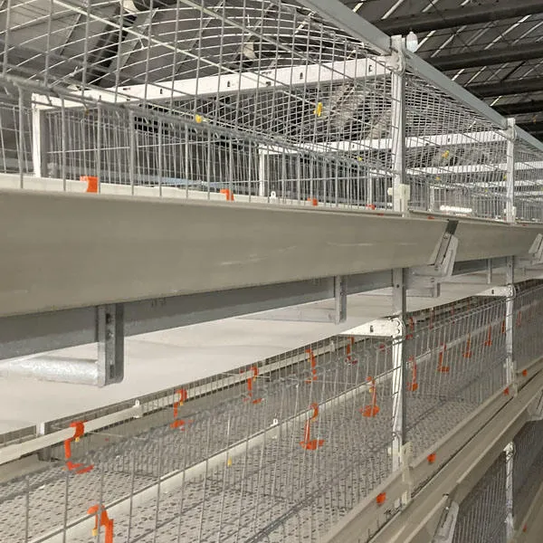 Niveau 3 nouveau prix usine de haute qualité cage à poulets automatique - Système d'alimentation des poulets de chair - foodmachtech