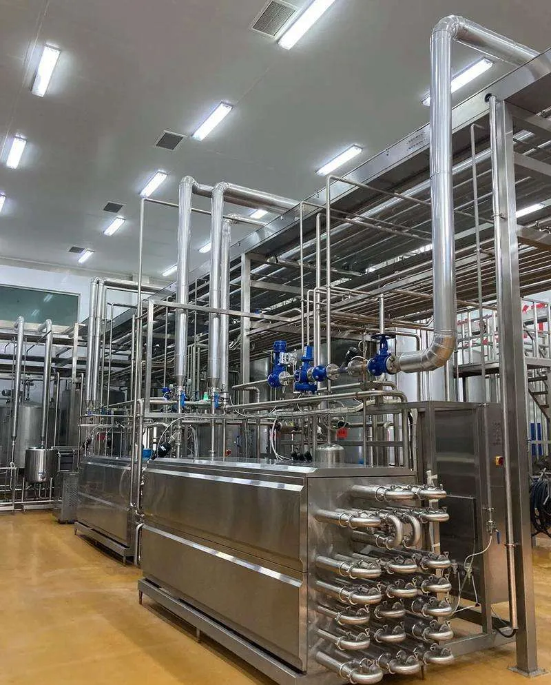 Alta produtividade Industrial aço inoxidável pasteurizador máquina para frutas bebidas iogurte fazendo - Esterilizador - foodmachtech