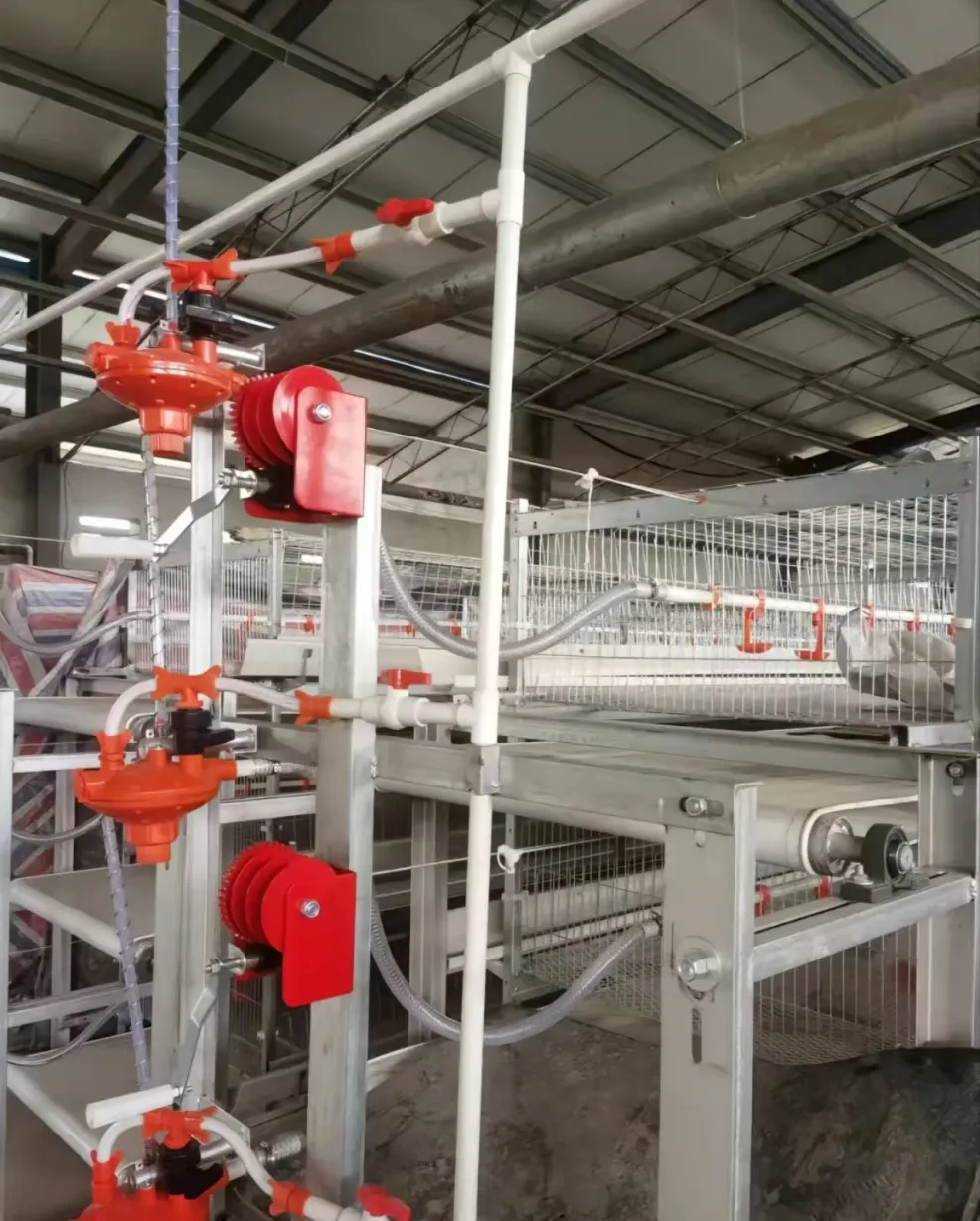 Poultry Farming Equipment Fully Automatic Vertical H Type 4 Tiers Multi Tier Chicken Broiler Cage for Chicken Farm - Broiler Feeding System - foodmachtech