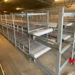 Poultry Farming Equipment Fully Automatic Vertical H Type 4 Tiers Multi Tier Chicken Broiler Cage for Chicken Farm - Broiler Feeding System - foodmachtech