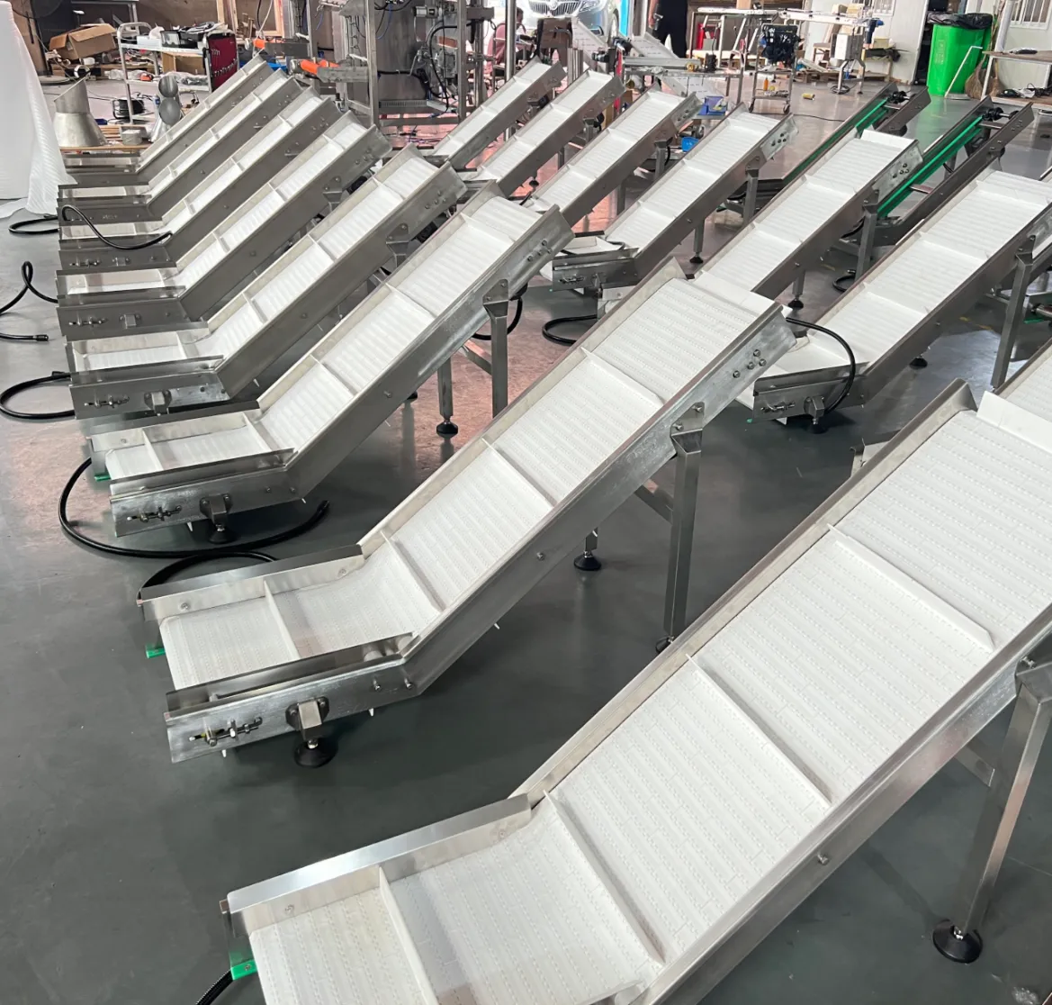 Transport Conveyor Belt Inclined Modular Conveyor Belt for Food&fruit Manufacture - Belt Conveyor - foodmachtech