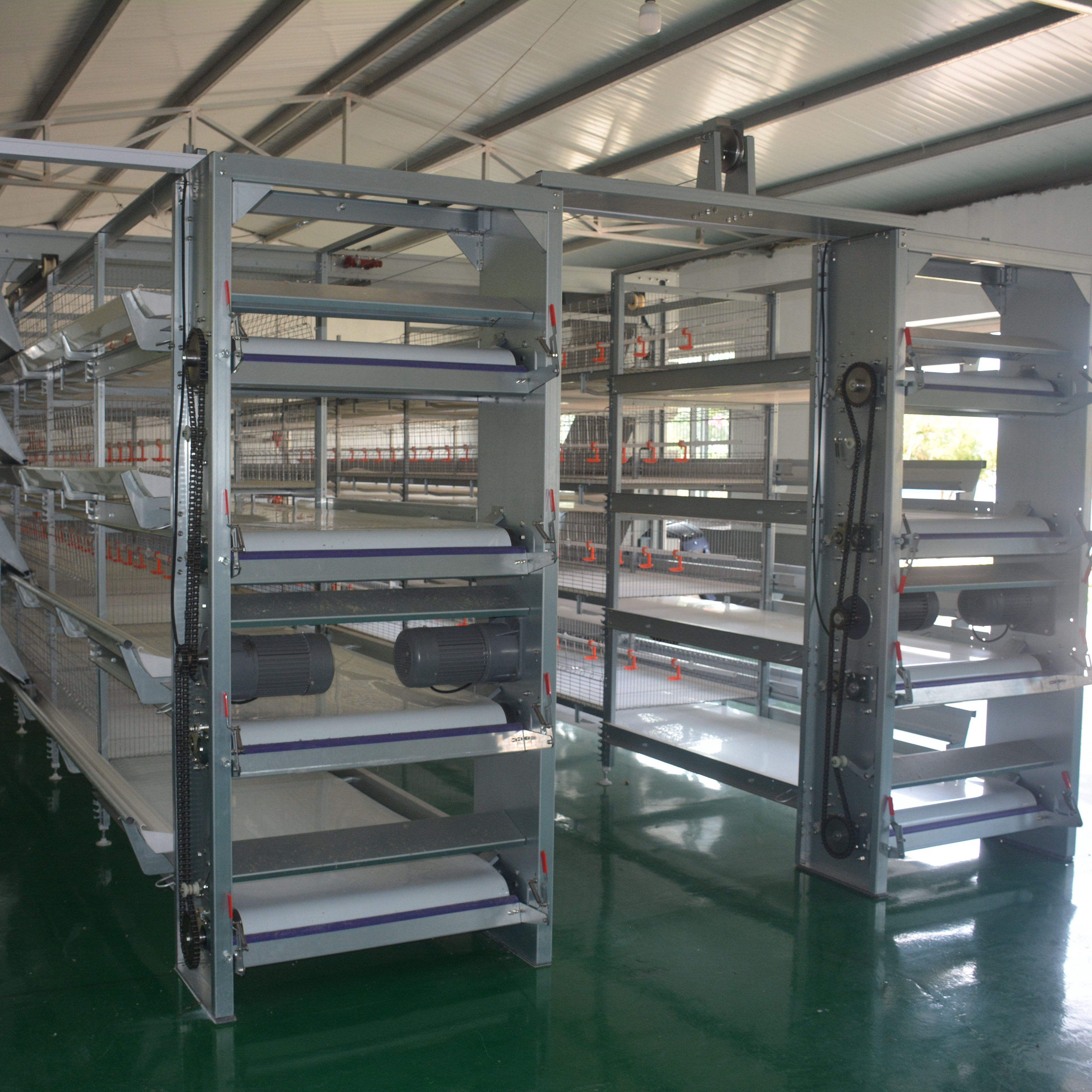 Equipo de cría de aves de engorde Tipo H Sistema automático Batería Jaula de pollo de engorde para uso avícola