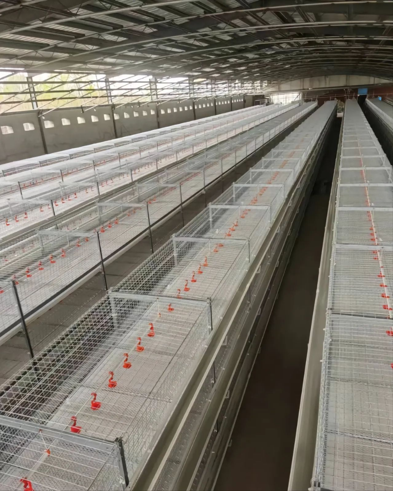 Sistema automático completo de eliminación de estiercol H Tipo 3/4 Tiers Equipo de cría de aves de corral Broiler Chicken Jaulas para ventas agrícolas