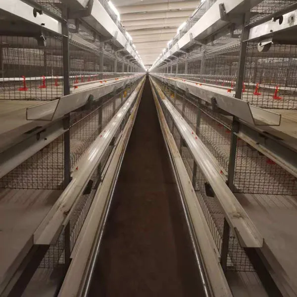 Cultivo en jaula de pollos de engorde de tres niveles totalmente automático - Sistema de alimentación de pollos de engorde - foodmachtech