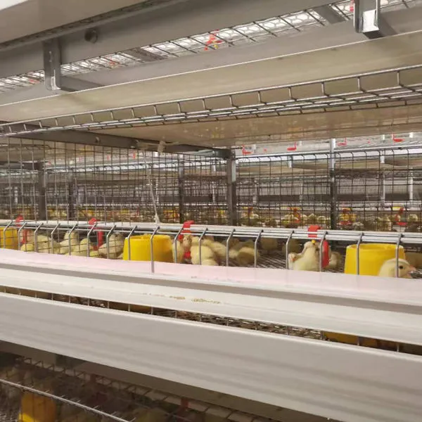 Cultivo en jaula de pollos de engorde de tres niveles totalmente automático - Sistema de alimentación de pollos de engorde - foodmachtech