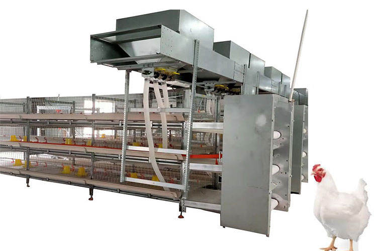H Tipo de Diseño Moderno Sistema de Jaula de Batería de Alimentación Automática de la Granja de Aves de Pollo para la Avicultura