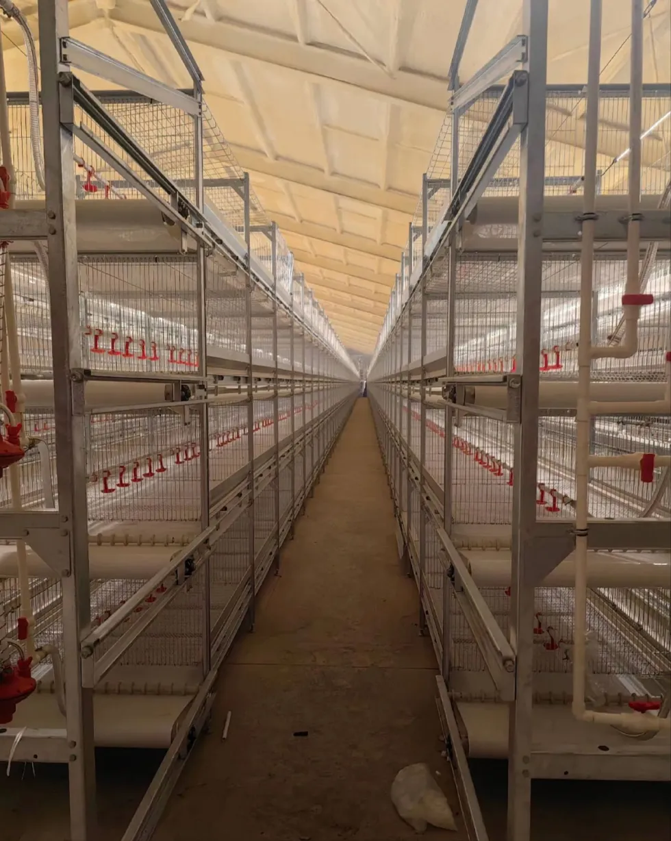 Poultry Farming Equipment Fully Automatic Vertical H Type 4 Tiers Multi Tier Chicken Broiler Cage for Chicken Farm - Broiler Feeding System - foodmachtech