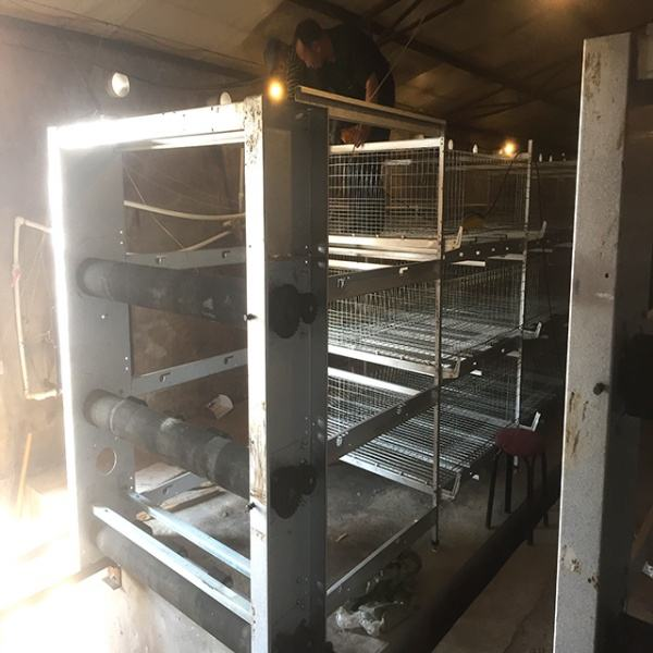 Sistema de cría de pollos de engorde de jaula automática tipo H profesional