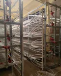 Poultry Farming Equipment Fully Automatic Vertical H Type 4 Tiers Multi Tier Chicken Broiler Cage for Chicken Farm - Broiler Feeding System - foodmachtech