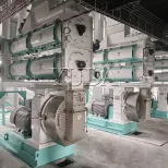 Gado Alimenta Pelletizador Produção Animal Máquina Pellet Peixe - Linha Produção Pellet Feed - foodmachtech