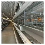 Long-Service-Life Modern H Frame Automatic Poultry Broiler Chicken Cage Battery Cages System for Broiler Chicken Farm - Broiler Feeding System - foodmachtech