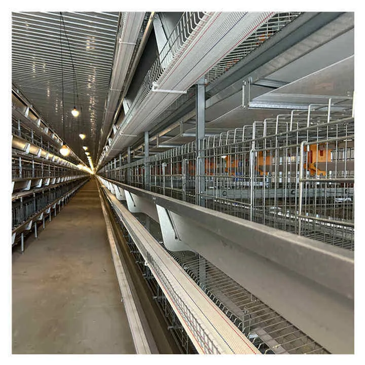 Long-Service-Life Modern H Frame Automatic Poultry Broiler Chicken Cage Battery Cages System for Broiler Chicken Farm - Broiler Feeding System - foodmachtech