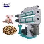 Dupla Camada Condicionadores Porco Gado Frango Feed Pellet Mill Machine - Linha Produção Pellet Feed - foodmachtech