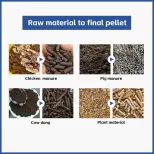 Animal Feed Pellet Machine 55kw Ring Die Animal Pellet Making Machine Fertilizer Pellet Making Machine para Pig e Chicken Feed - Linha Produção Pellet Feed - foodmachtech