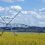 Farm Plant Watering Center Pivot Irrigação Boom System Com Big Gun Sprinkler Equipment - Irrigação Agrícola/Equipamento de Poupança de Água - foodmachtech