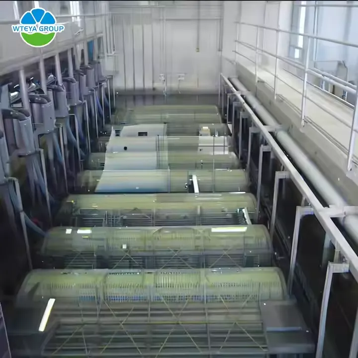 Tratamiento de aguas residuales integrado de alta eficacia de MBR para la purificación de las aguas residuales - Equipo de tratamiento de aguas residuales - foodmachtech