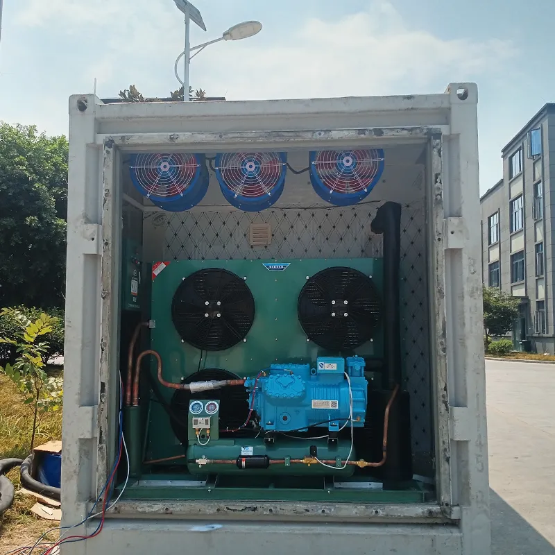 Beef Chilling Room Semi-Hermetic Condensing Unit for Cold Storage Engine Gear Bearing Core Components - Cold Storage - foodmachtech
