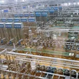 Hochwertige automatische Bohnen waschmaschine für Sojamilch linie Tofu-Maschine/Bohnen-Quark maschine - Bohnen-Schäl maschine - foodmachtech