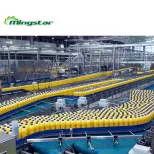 Macchina automatica per il riempimento di bevande a base di succo di frutta, - Linea di produzione della bevanda - foodmachtech