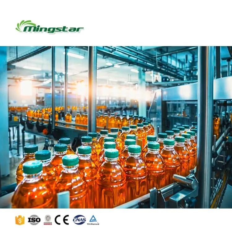Macchina automatica per il riempimento di bevande a base di succo di frutta, - Linea di produzione della bevanda - foodmachtech