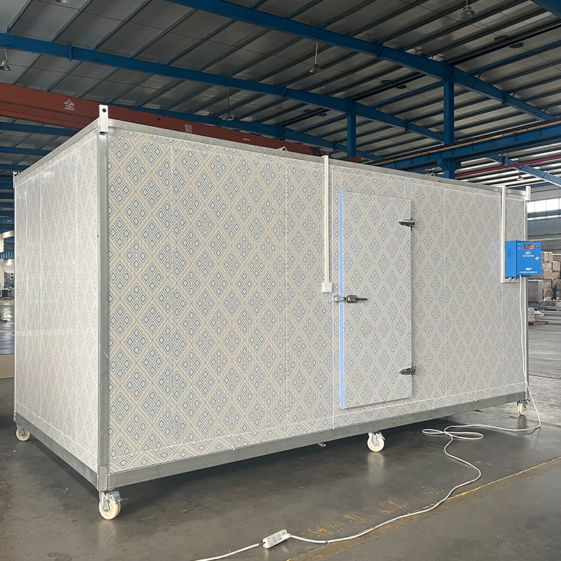 魚、果物、野菜を冷凍するための効率的な冷凍庫