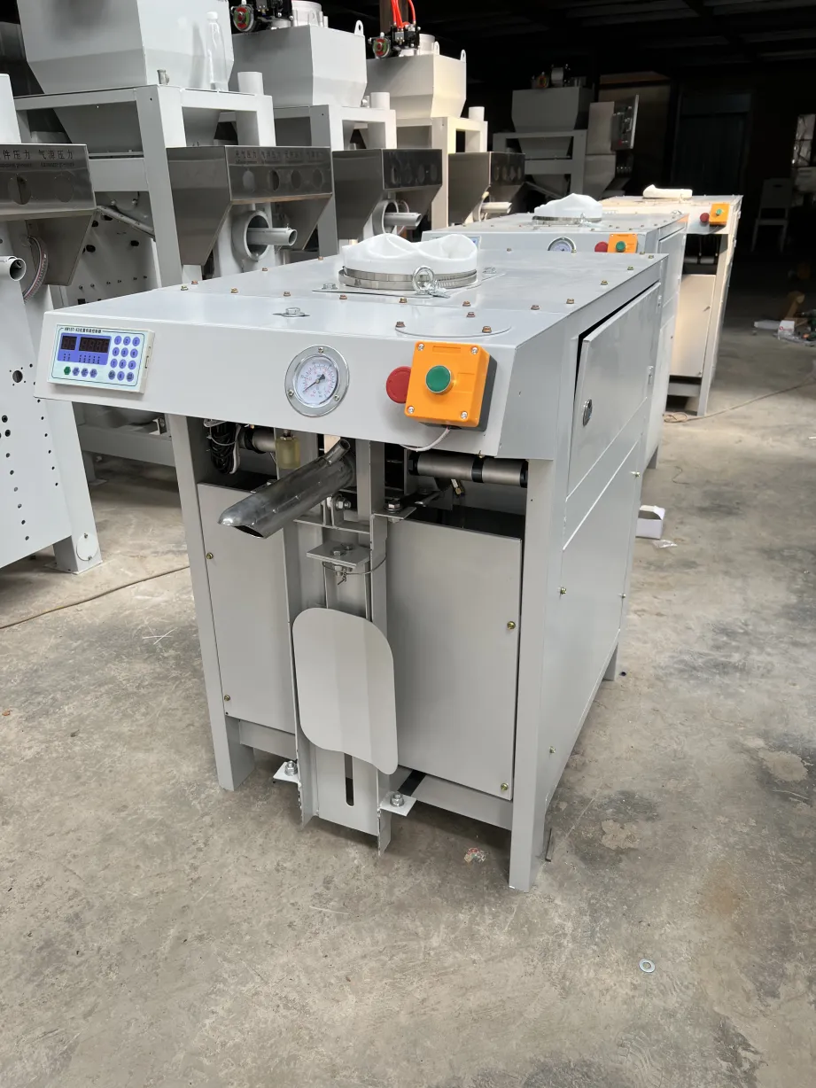Valve Port Packaging Machine - Palletizer - foodmachtech