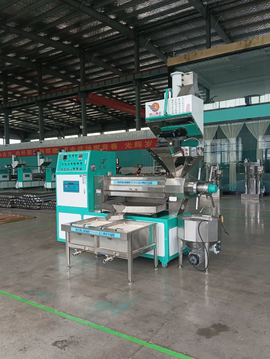 HY-6YL-TL918 Parafuso óleo imprensa máquina - Parafuso óleo imprensa - foodmachtech