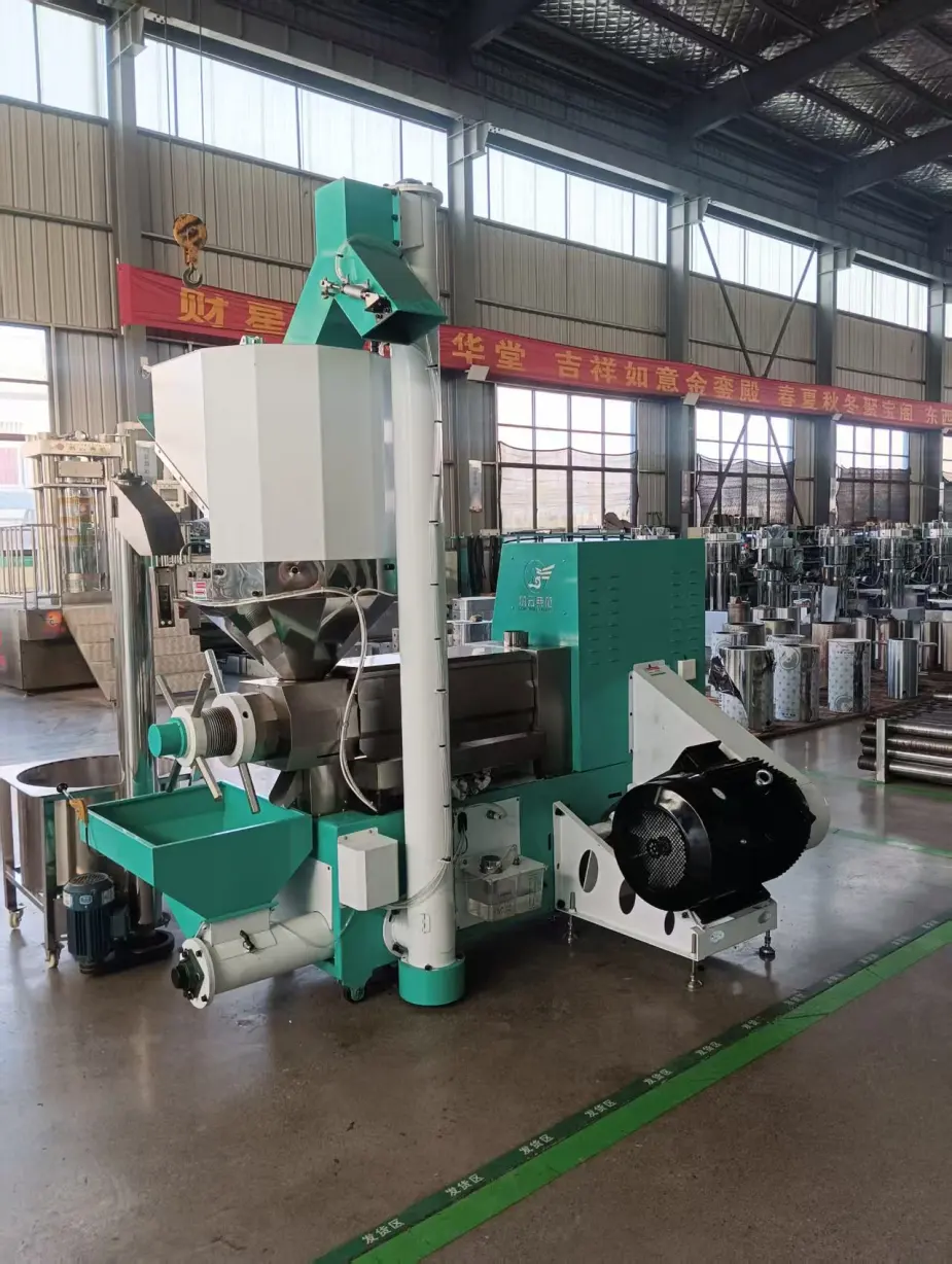 HY-6YL-TL770 Parafuso óleo imprensa máquina - Parafuso óleo imprensa - foodmachtech