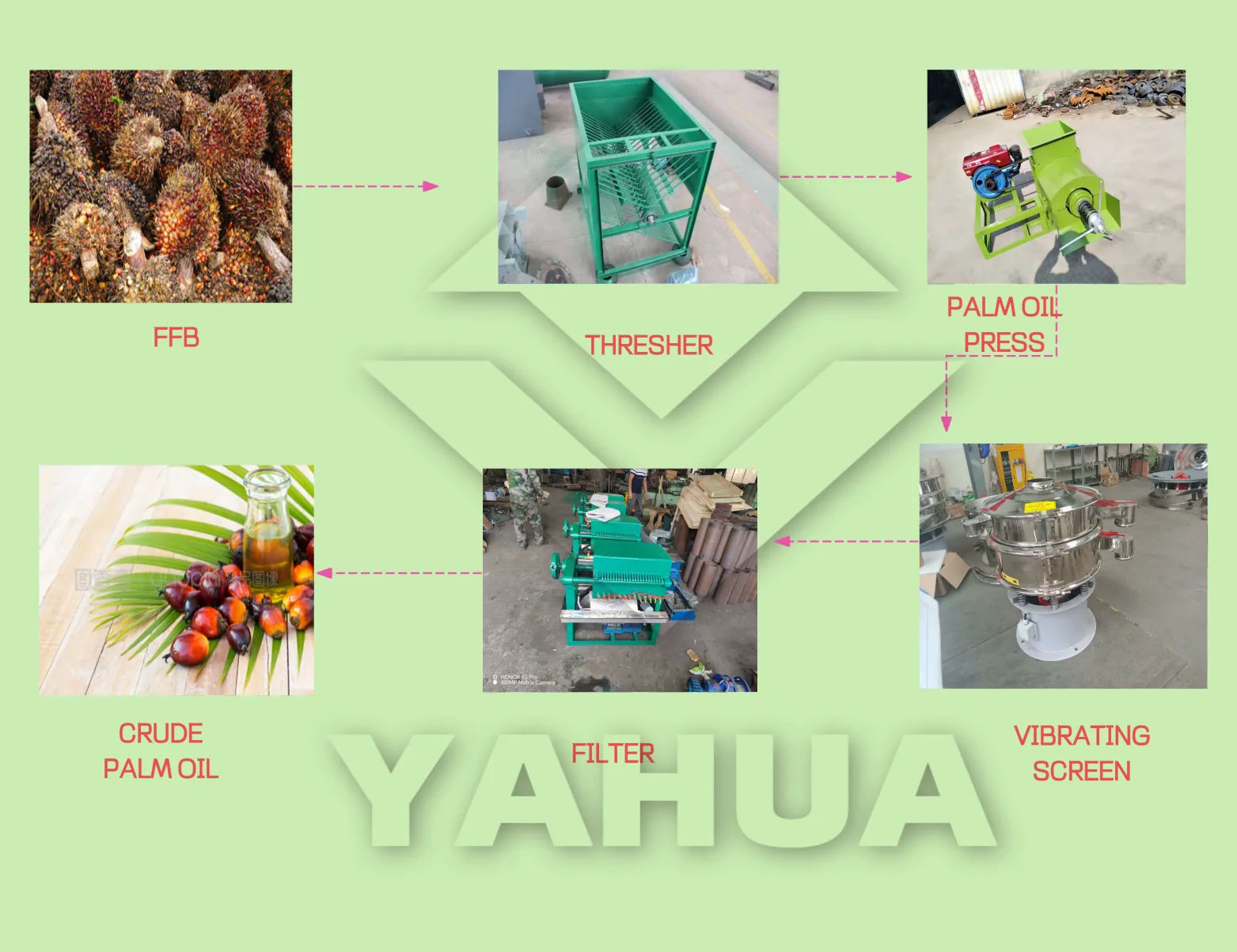 Alta Qualidade 500 kg/H Mini Palm Press Machine Aço Inoxidável Casa Energy Saving Palm Frio Parafuso Óleo Imprensa Máquina - Parafuso óleo imprensa - foodmachtech